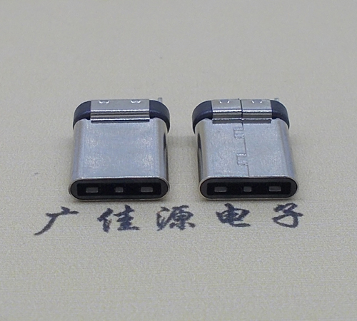 USB  AM  3.1Type-C拉伸式24P