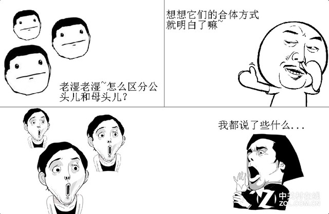 公头和母头的区分方式