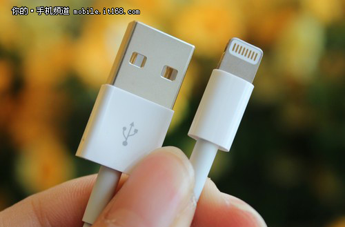 USB苹果双面插